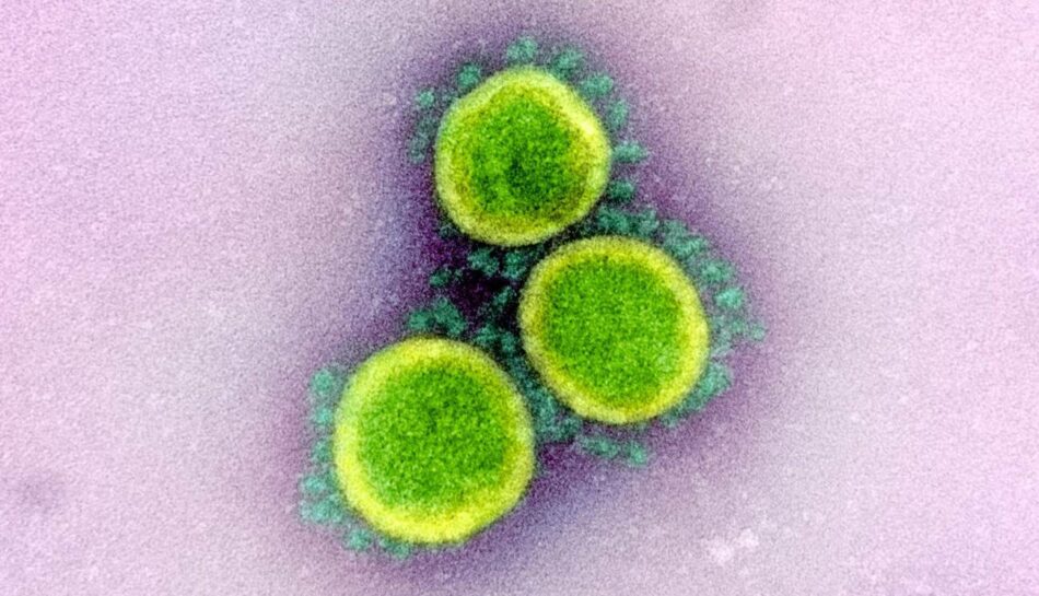 La OMS confirma que el coronavirus no viaja libremente por el aire, sino en gotas