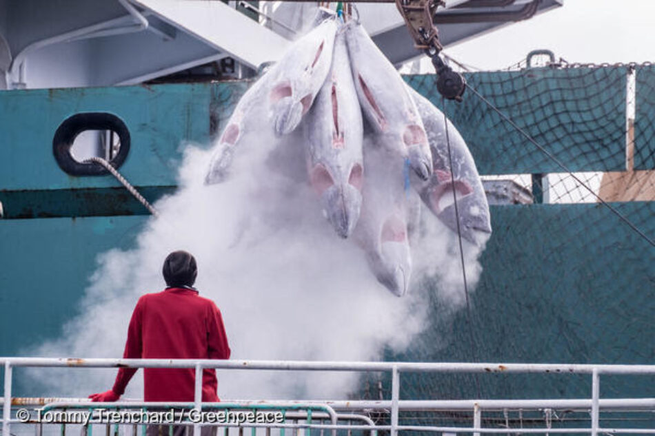 El transbordo de capturas de barcos pesqueros a buques frigoríficos está facilitando la pesca ilegal, que destruye los océanos