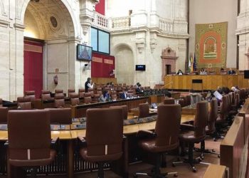 Fridays for Future Andalucía se adhiere al rechazo del decretazo de la Junta