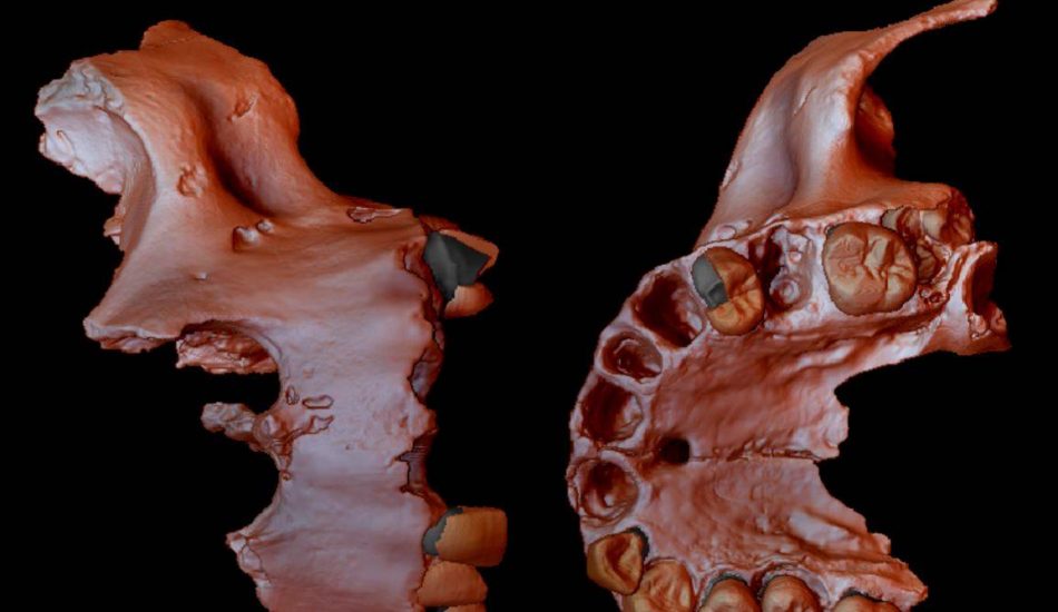 Obtienen la evidencia genética humana más antigua hasta la fecha