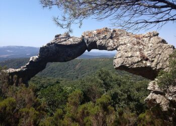 Satisfacción por el respaldo judicial a la ampliación del Parque Natural Los Alcornocales