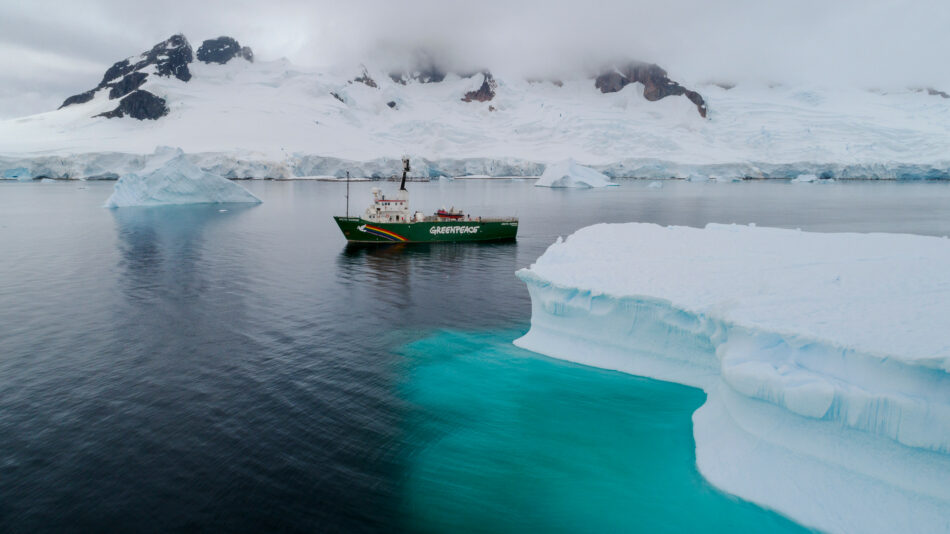 Greenpeace concluye la expedición más ambiciosa de su historia con una demanda clara: “Urge la protección de los océanos”