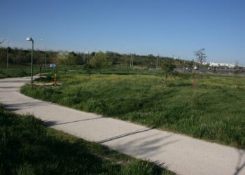 Ecologistas en Acción Madrid: «En la desescalada por la Covid 19, espacio público para la ciudadanía y apertura de parques y jardines»