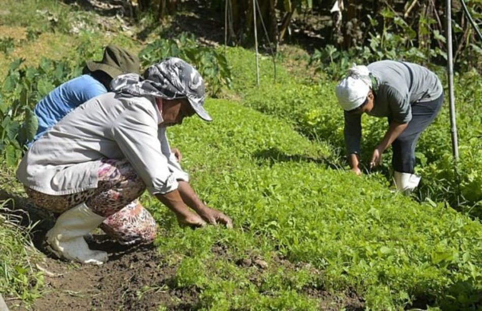 Covid-19 avanza tierra adentro y amenaza a la población más vulnerable de Brasil