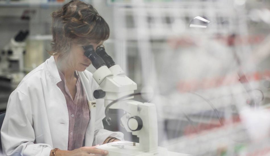Investigadoras españolas estudian qué pasa si el coronavirus se junta con el parásito de la malaria