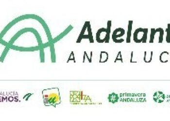 Es tiempo de Andalucía. Ahora más que nunca: Adelante Andalucía
