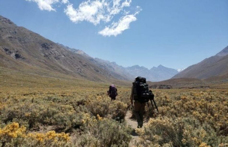 La letra chica del «acuerdo covid» que acelerará la depredación ambiental en Chile