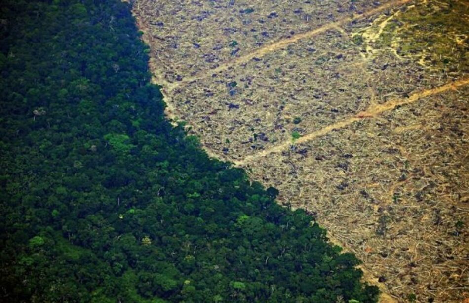 Brasil. La degradación ambiental es el tema del Foro Popular de la Naturaleza que comienza este lunes