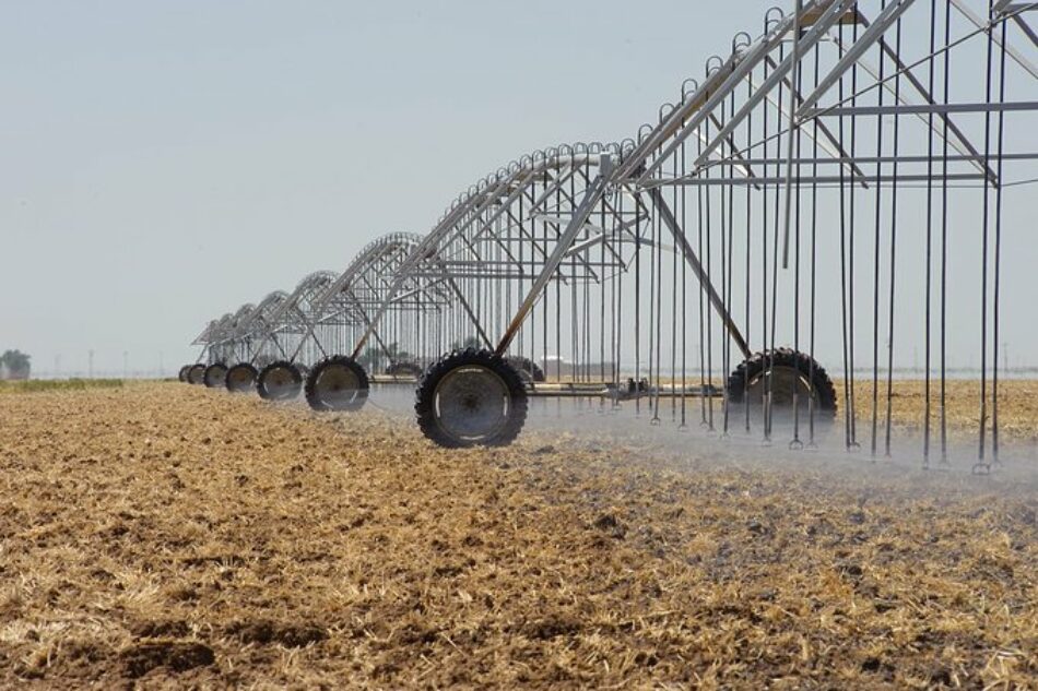 «Es necesario reducir el regadío para luchar contra la desertificación y la sequía»