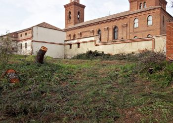 El Ayuntamiento de Madrid autoriza la tala de casi un centenar de árboles en Hortaleza para un gimnasio sin licencia de obras