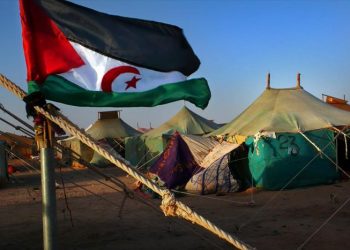 Organizaciones internacionales reivindican los derechos del pueblo saharaui en el Día Mundial de los Refugiados