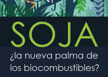 El biodiésel de soja, en auge tras la prohibición de la palma, provoca graves impactos socioambientales