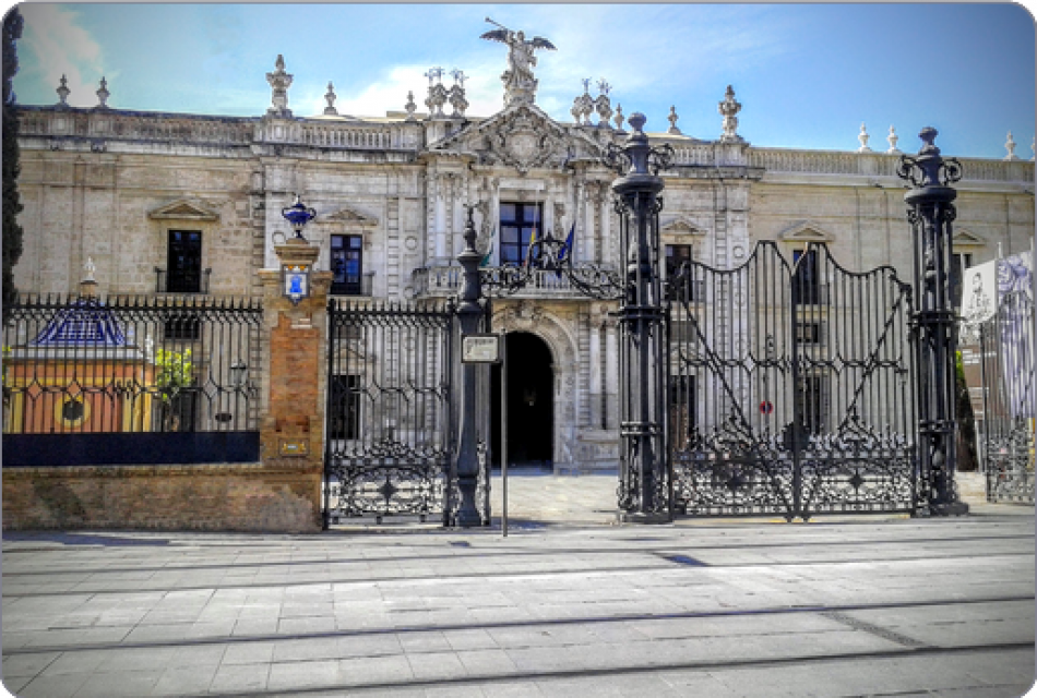 Unanimidad en los órganos de representación del profesorado de la Universidad de Sevilla en defensa de la docencia y en la crítica a la gestión del Rectorado