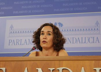 Naranjo pide al Gobierno andaluz que fiscalice la gestión del cheque libro para que se cumpla la normativa y no se vean perjudicadas las pequeñas y medianas librerías