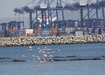El Comité de Peticiones del Parlamento Europeo realizará una investigación preliminar sobre la Paralización del Plan de Infraestructuras del Puerto de la Bahía de Algeciras