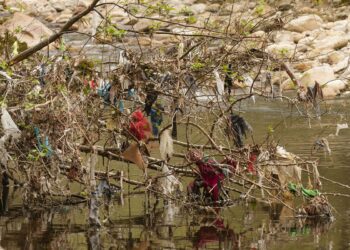 Basta ya de bolsas de plásticos abandonadas en el medio ambiente asturiano