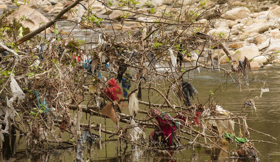 Basta ya de bolsas de plásticos abandonadas en el medio ambiente asturiano