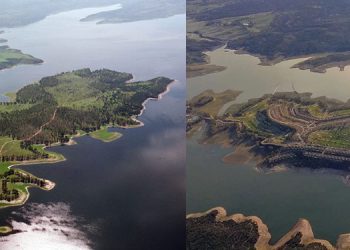 Ecologistas en Acción anuncia que no formará parte de la comisión creada por la Junta de Extremadura respecto de Valdecañas