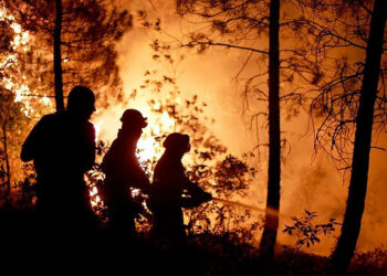 El abandono del medio rural está aumentando la vulnerabilidad ante los incendios de alta intensidad en España