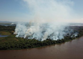Más de 1.600 focos de incendios en la región brasileña de Panatal