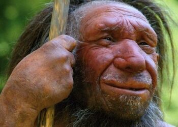 Los neandertales tenían mayor semejanza genética con los ‘Homo sapiens’ que con los denisovanos