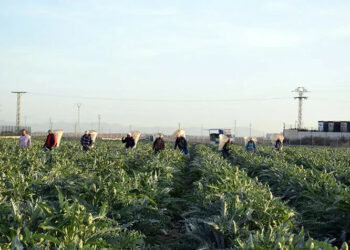 El Partido y la Juventud Comunista de la Región de Murcia denuncian la insostenible situación de los trabajadores del campo