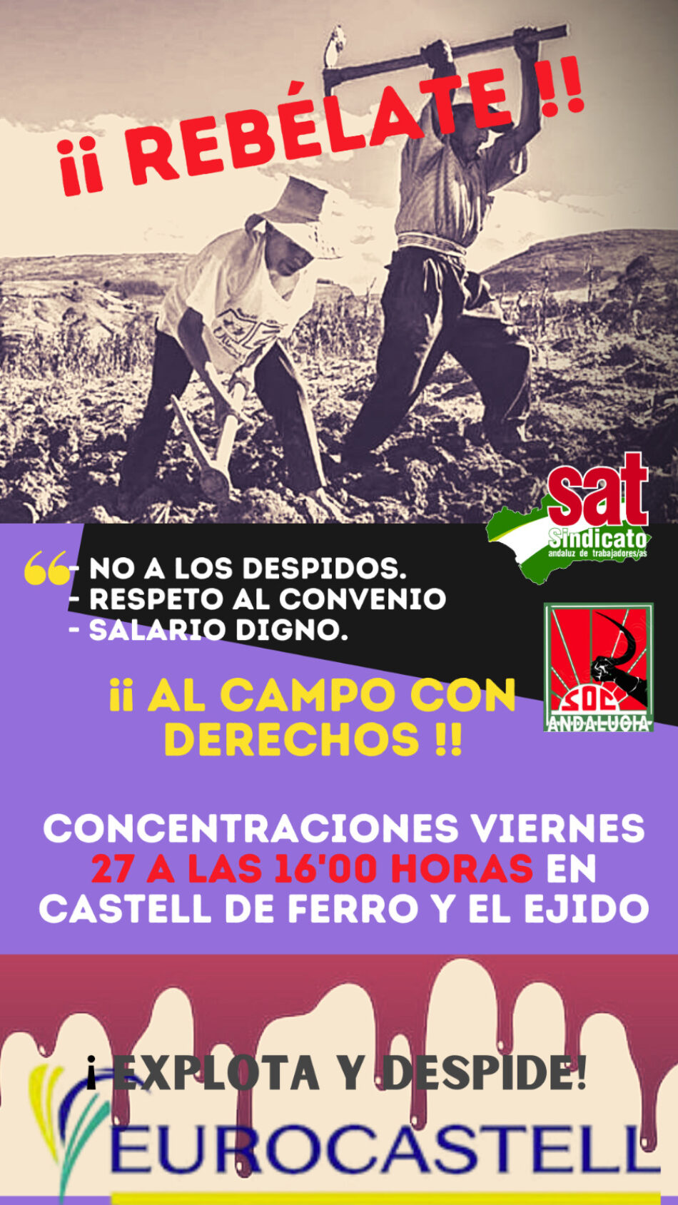 El SAT convoca concentraciones el 27N en Castell de Ferro (Granada) y en El Ejido (Almería): «¡Al campo con derechos!»