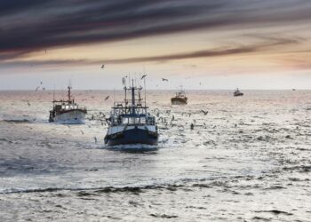 España pide a la Comisión certidumbre en la fijación definitiva de las cuotas de pesca con Reino Unido para 2021