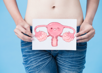 Decodifican por primera vez el comportamiento celular del endometrio humano