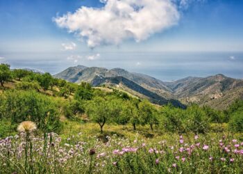 España aumenta su superficie protegida y reduce sus emisiones de gases de efecto invernadero