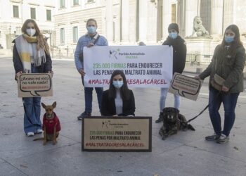 PACMA exige justicia para los animales maltratados y entrega 235.000 firmas en el Congreso de los Diputados para cambiar el Código Penal