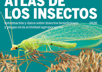 Estamos ante un «colapso mundial de insectos impulsado por la agricultura industrial», según el nuevo Atlas de los Insectos