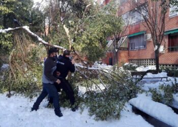 Las asociaciones vecinales de Usera (Madrid) reclaman un plan especial de inversiones para hacer frente a los estragos de la nevada