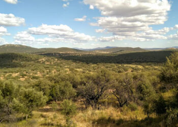 Ecologistas Extremadura pide proteger sin dilación a la Sierra de la Mosca en Cáceres como Espacio Natural Protegido