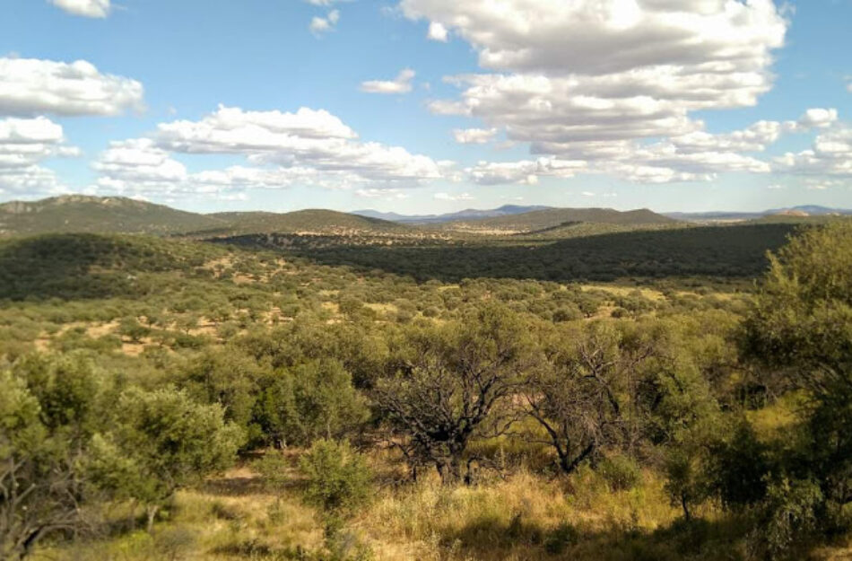 Ecologistas Extremadura pide proteger sin dilación a la Sierra de la Mosca en Cáceres como Espacio Natural Protegido