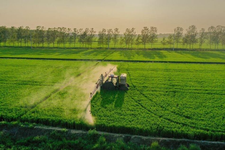 Bayer llegó a un acuerdo de 2 mil millones de dólares ante reclamos legales por el impacto de Roundup en la salud en EE.UU.