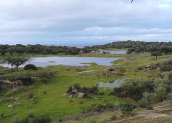 Nace la Plataforma «No a la Mina de Cañaveral»