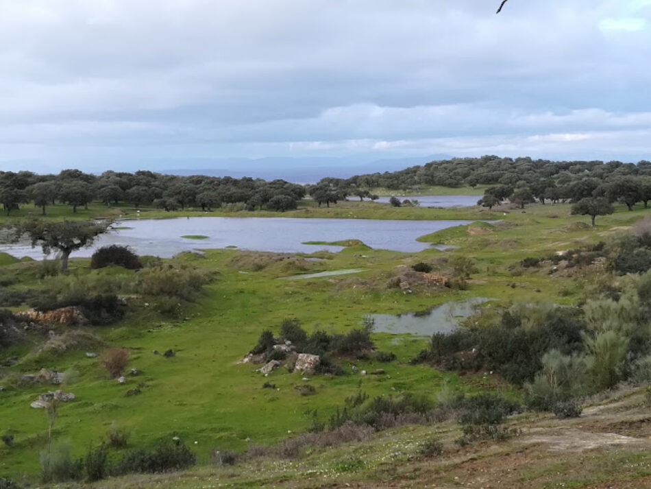 Nace la Plataforma «No a la Mina de Cañaveral»