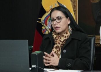 CNE de Ecuador prevé proclamar resultados electorales este fin de semana