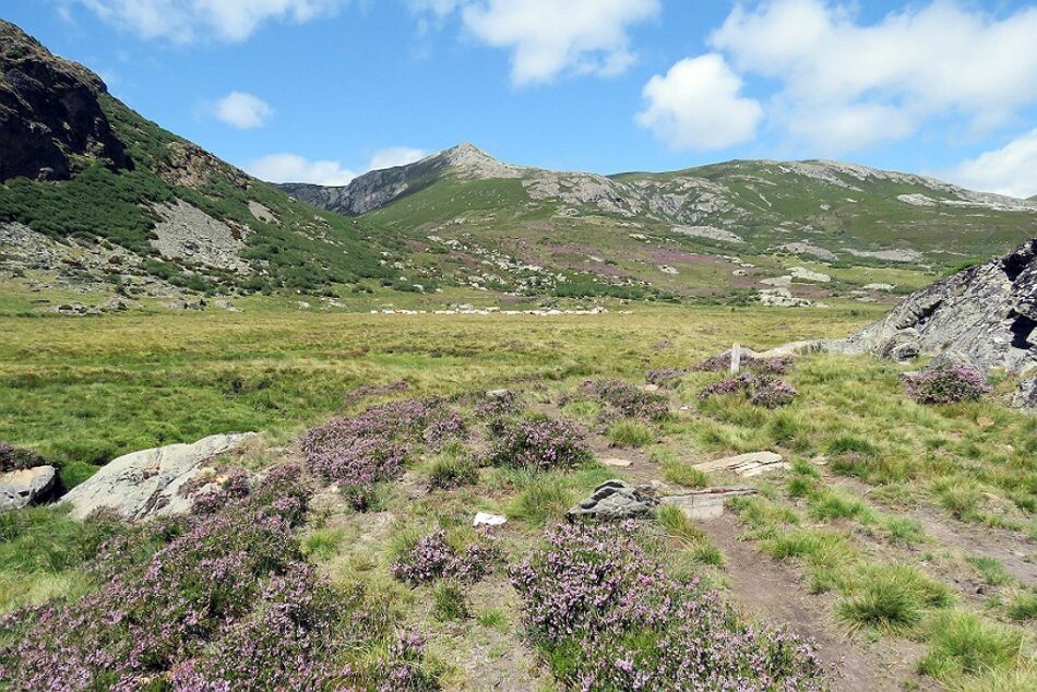 De Peña Trevinca al paisaje protegido de los Penedos de Pasarela y Traba: la amenaza eólica se ensaña con las cumbres de Galicia