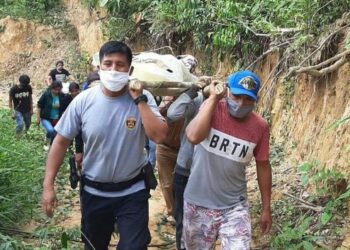 Defensora ambiental Estela Casanto fue asesinada en Junín (Perú)