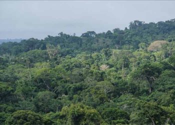 Migración infantil por selva del Darién multiplicó su cifra