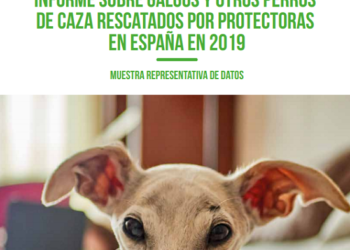 PACMA elabora un informe junto a 98 protectoras para demostrar que los cazadores abandonan a miles de perros cada año