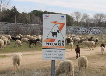 Las vías pecuarias de la Comunidad de Madrid se vuelven a convertir en mera propaganda institucional