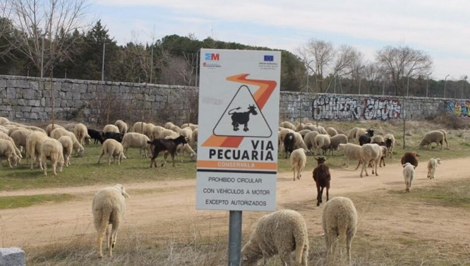 Las vías pecuarias de la Comunidad de Madrid se vuelven a convertir en mera propaganda institucional