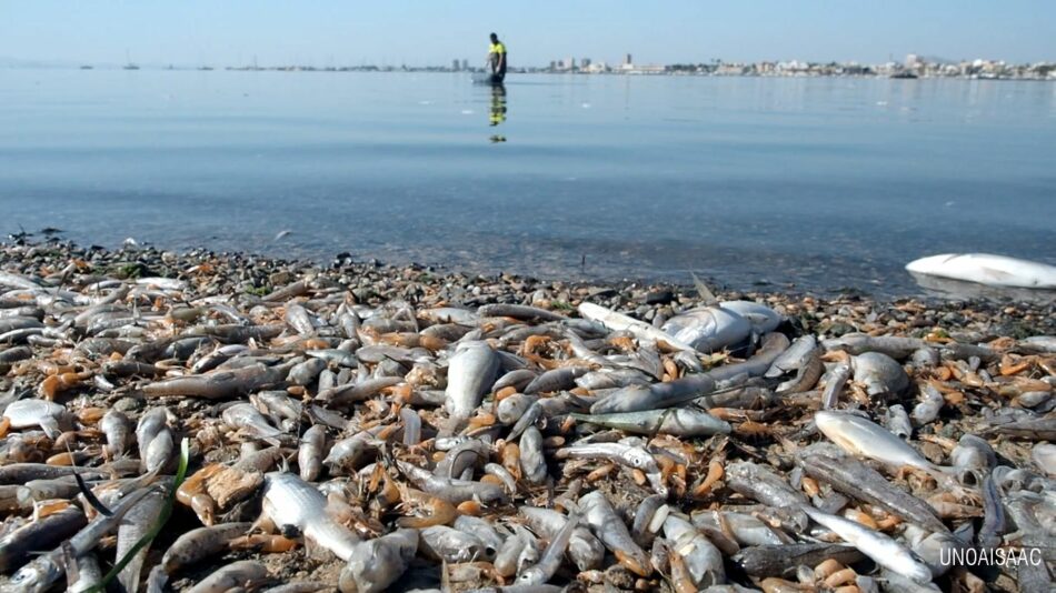 Una delegación del Parlamento Europeao visitará el Mar Menor para analizar su degradación ambiental