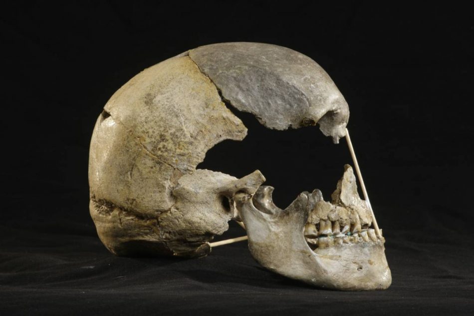 El sexo entre los primeros sapiens europeos y los neandertales fue más común de lo que se creía