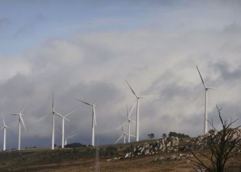 Coordinadora Ecoloxista d’Asturies: «No a los parques eólicos en los parques naturales de Fuentes del Narcea y Somiedo»