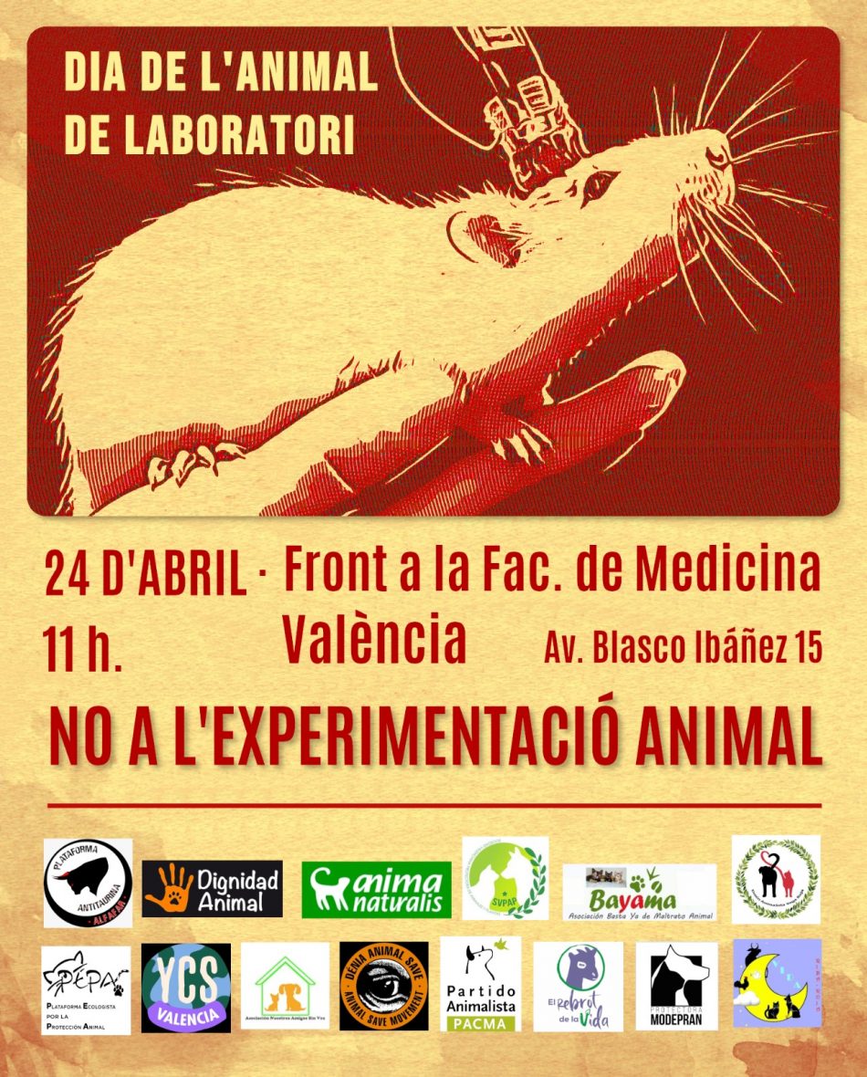 24 d´abril: "No a l´experimentació animal" (València ...