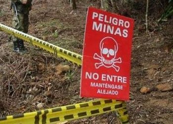 Venezuela avanza gestiones ante la ONU sobre asesoramiento a la FANB en desactivación de minas en frontera con Colombia